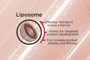 skinone liposome